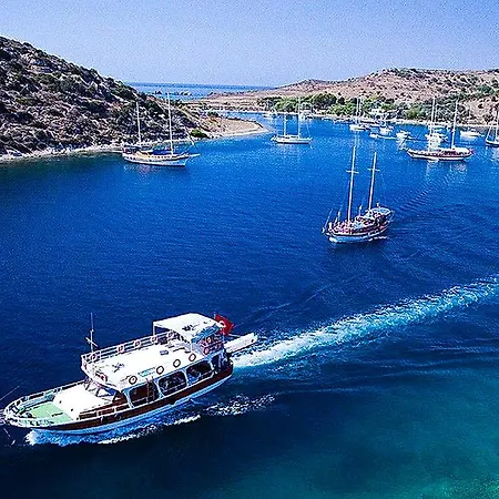 Seril 2 2* Φετιγιέ